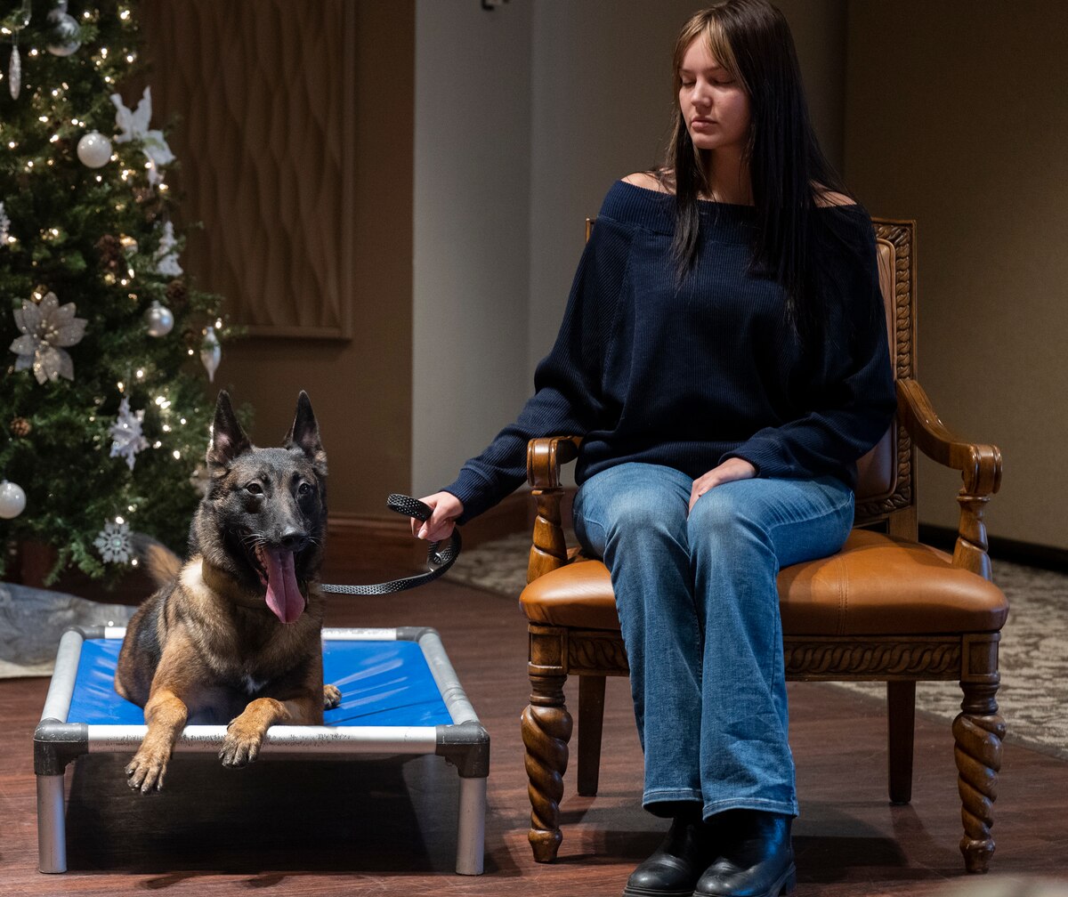 A woman sits in a chair next to a dog sitting on a small platform. She is holding his leash. There is  a Christmas tree in the background.