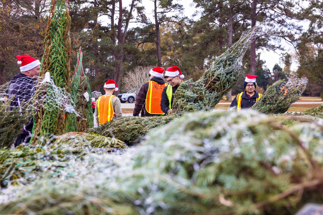 People wearing red Santa hats move trees.