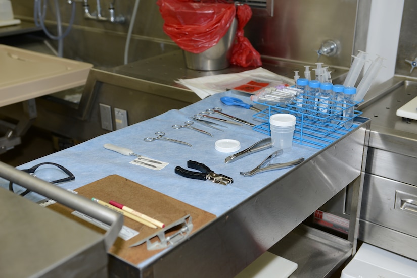 Autopsy tools lay on a steel table.
