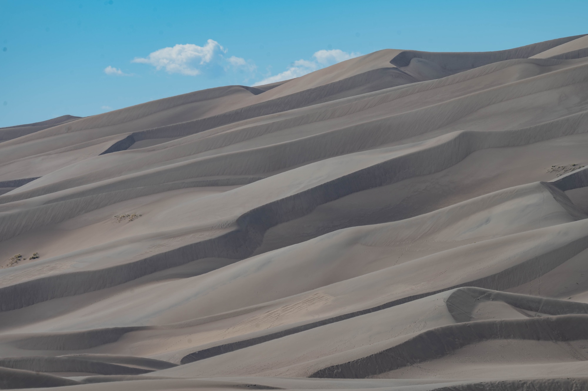 Sand dunes of Great Sand Dunes National Park and Preserve, Colorado.