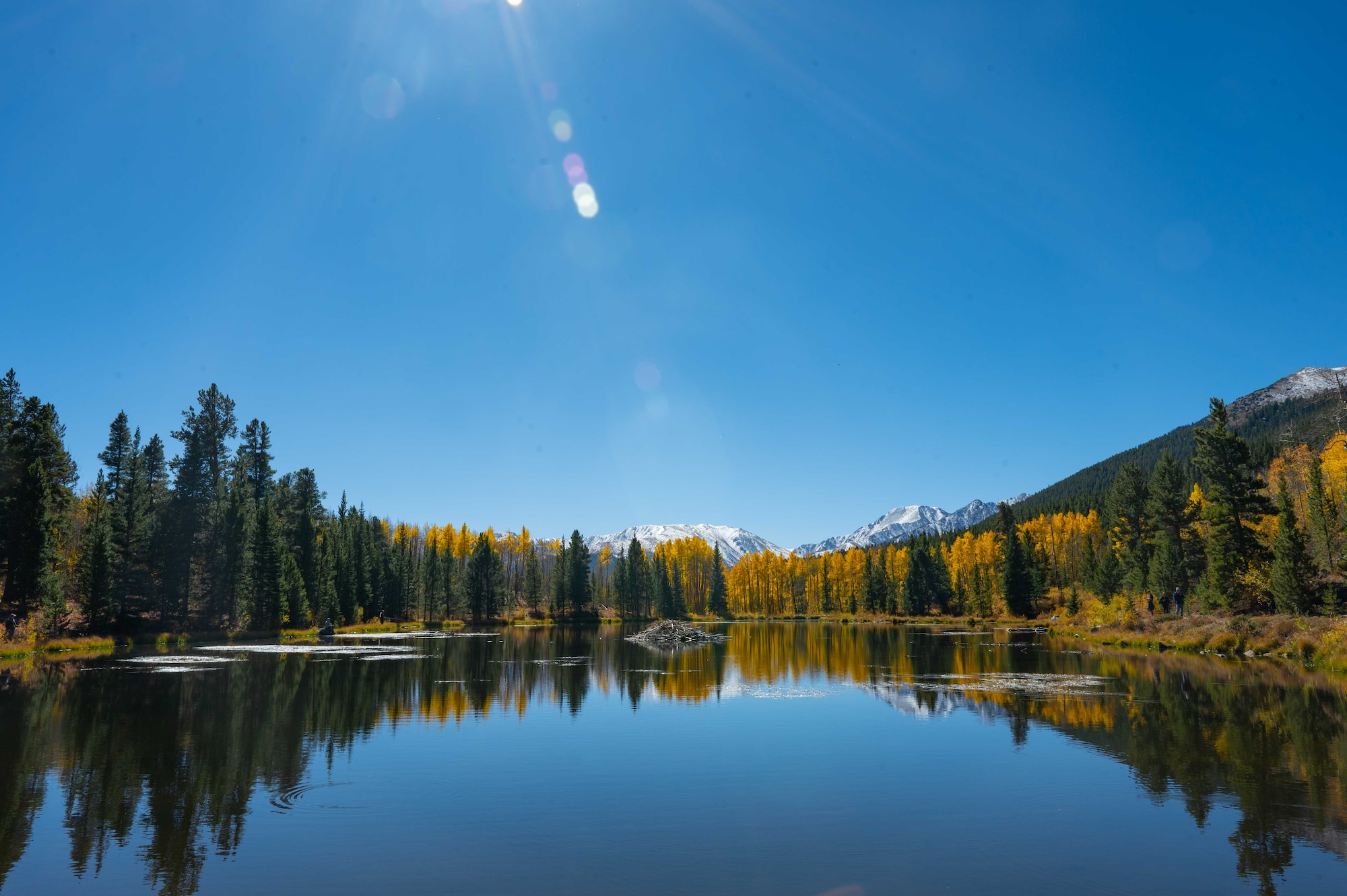 Aspen trees rise over Lily Pons Lake trail in Twin Lakes, Colorado.