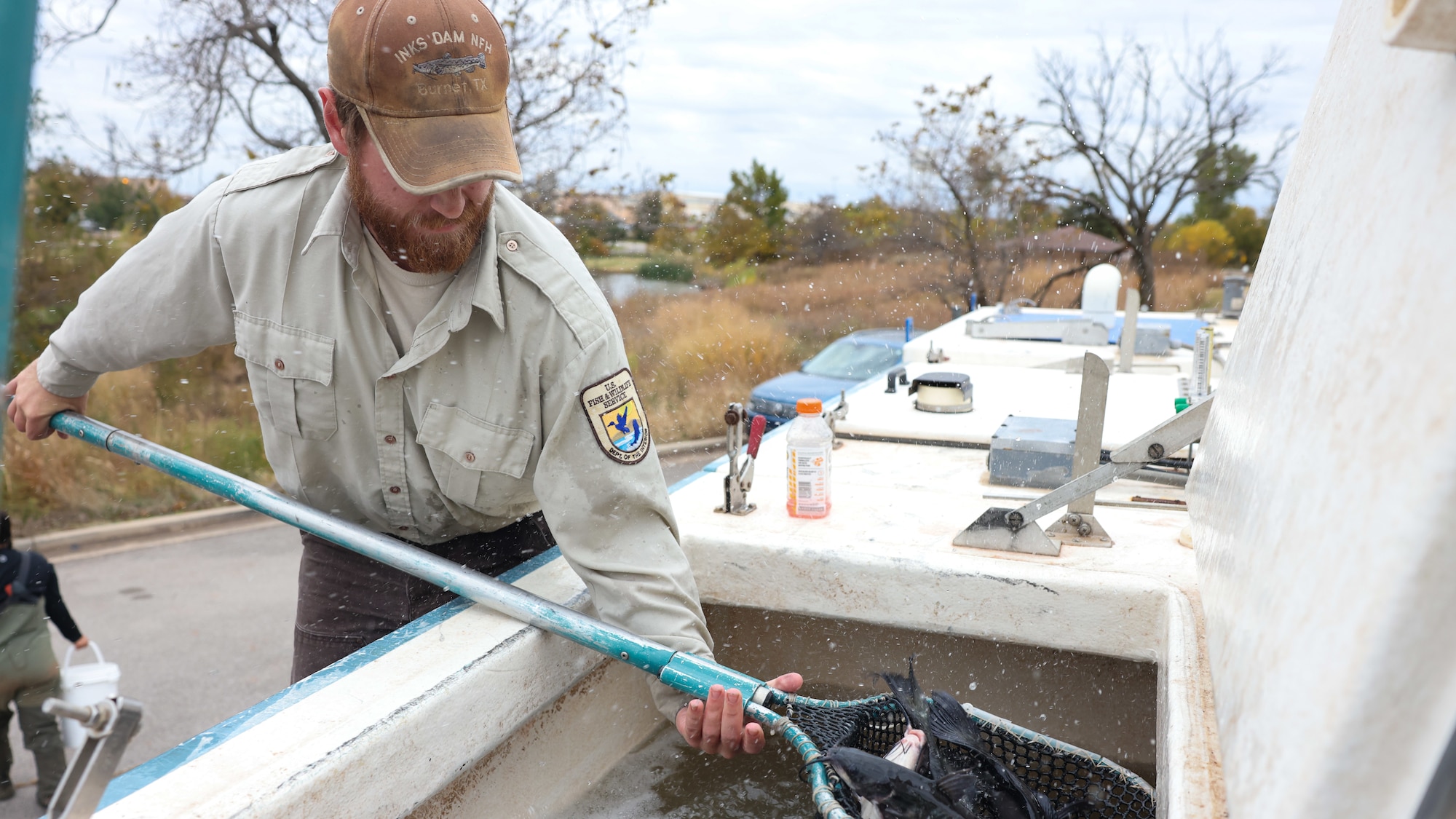 man nets fish out of tank