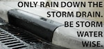 Make sure only rain goes down the storm drain
