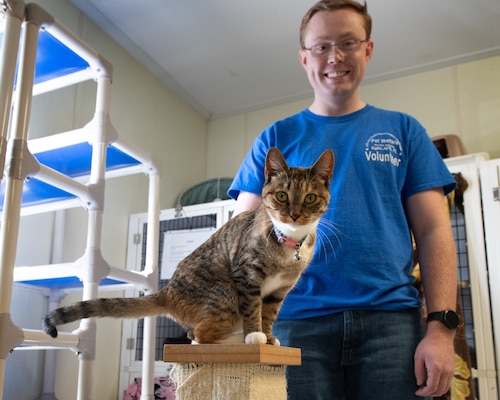 A cat poses on a cat pedestal, while a volunteer stands behind it inside a pet shelter room.