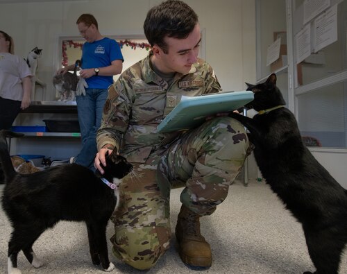 An Airman fills out an application while he kneels next to a couple cats.