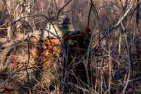 Thirty-three, two-person teams of military snipers from around the world competed in the 53rd Winston P. Wilson (WPW) Sniper Championship (National Guard) and the 33rd Armed Forces Skill at Arms Meeting (Inter-Service) December 1-8 at Fort Chaffee Joint Maneuver Training Center.