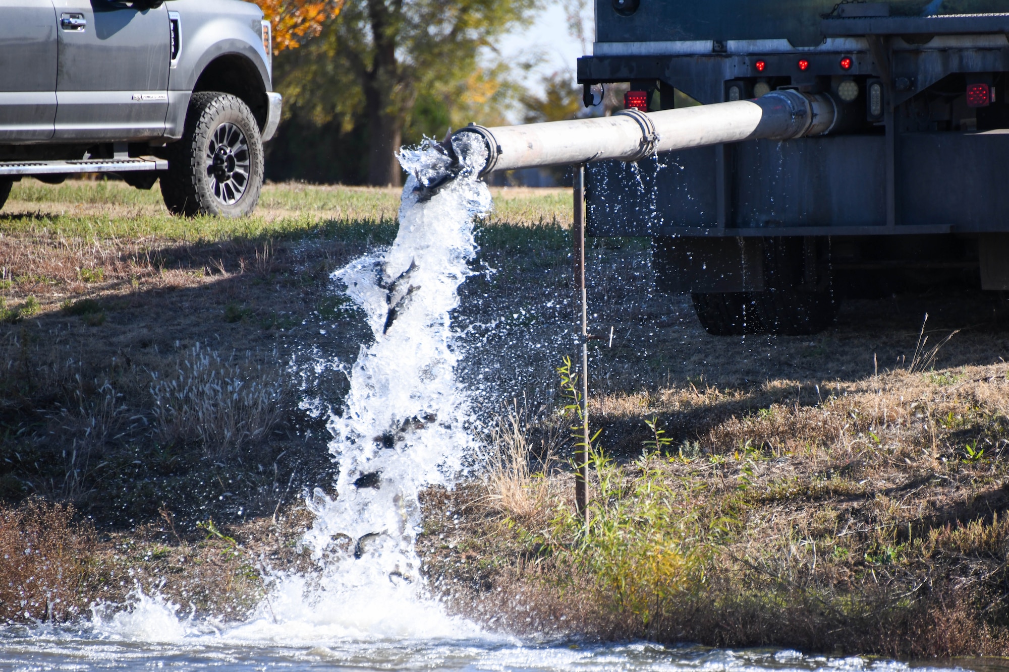 Catfish are released into the fishing pond at Altus Air Force Base, Oklahoma, Nov. 8, 2023. The 97th Civil Engineer Squadron stocks the pond in support of the annual fishing derby. (U.S. Air Force photo by Senior Airman Miyah Gray)