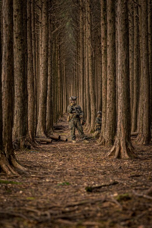 U.S. Marine Corps Cpl. Aaron Ede establishes communications during Stand-in Force Exercise 24 at Combined Arms Training Center Camp Fuji, Japan, Dec. 6, 2023. SIFEX 24 is a division-level exercise involving all elements of the Marine Air-Ground Task Force focused on strengthening multi-domain awareness, maneuver, and fires across a distributed maritime environment. This exercise serves as a rehearsal for rapidly projecting combat power in defense of allies and partners in the region. Ede, a native of Boaz, Alabama, is a rifleman with 2d Battalion, 7th Marine Regiment. 2/7 is forward deployed in the Indo-Pacific under 4th Marine Regiment, 3d Marine Division as part of the Unit Deployment Program. (U.S. Marine Corps photo by Lance Cpl. Matthew Morales)