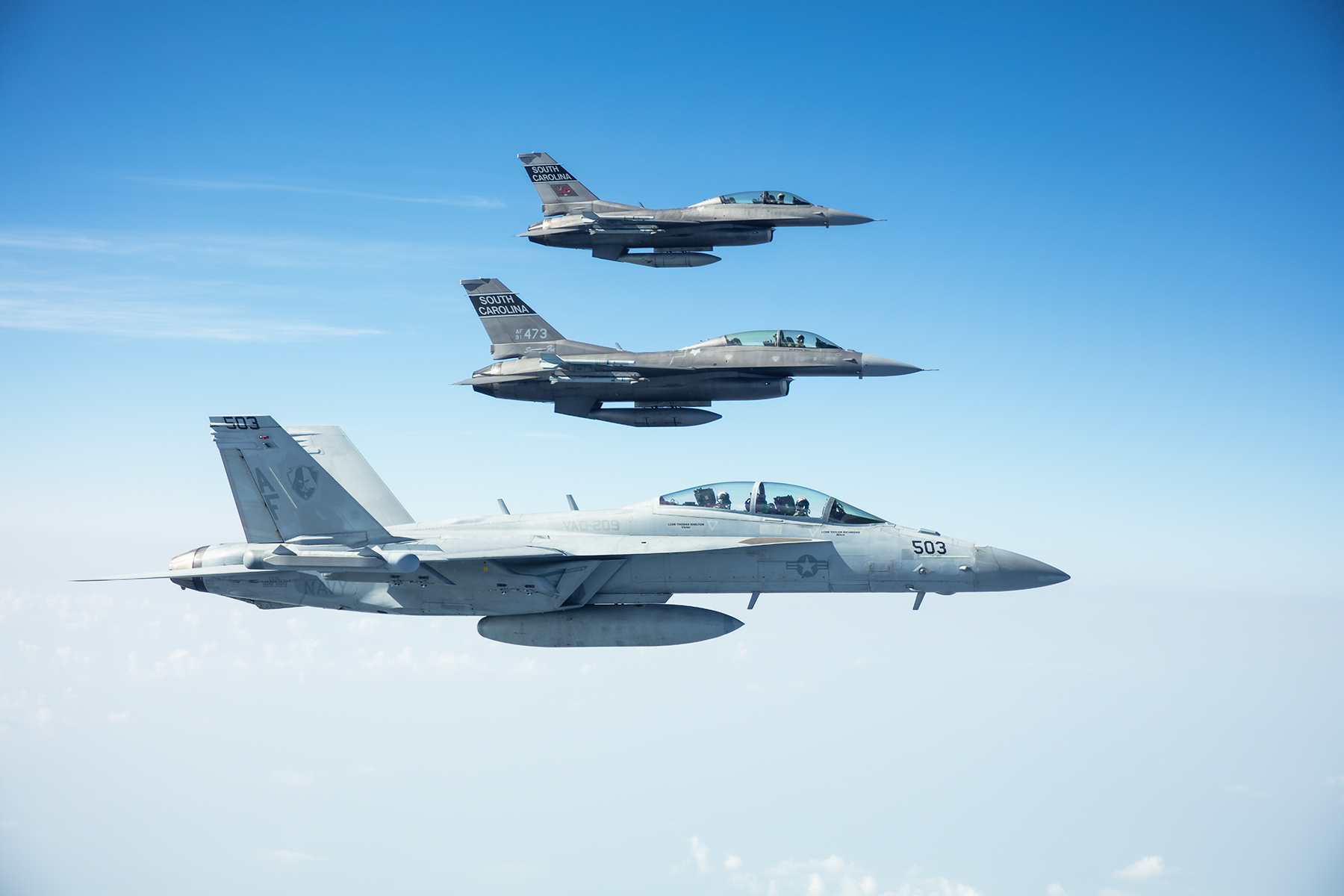 VAQ-209 Star Warriors Electronic Attack Squadron US Navy