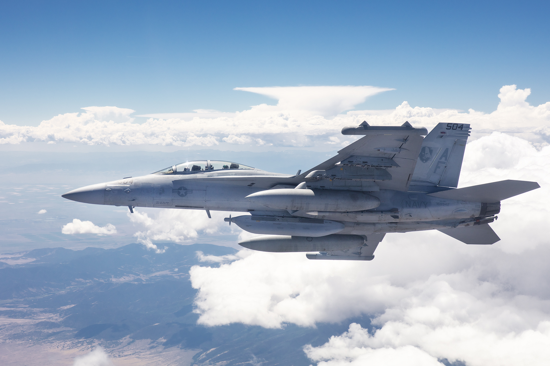 激レア VAQ-209 STAR WARROIRS 2020 グラウラー VAQ-209 - Wikipedia