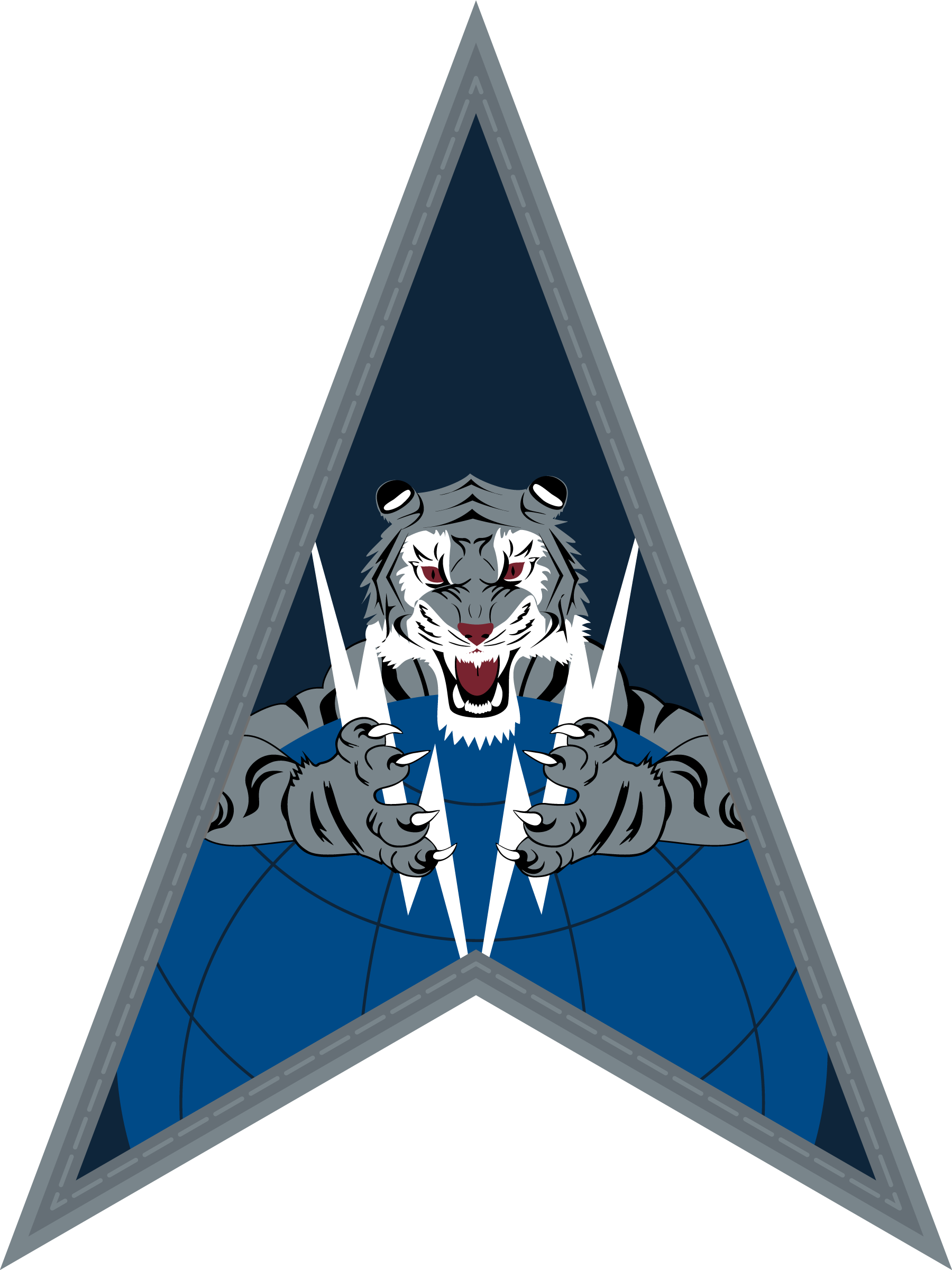 United states space force multimedia art