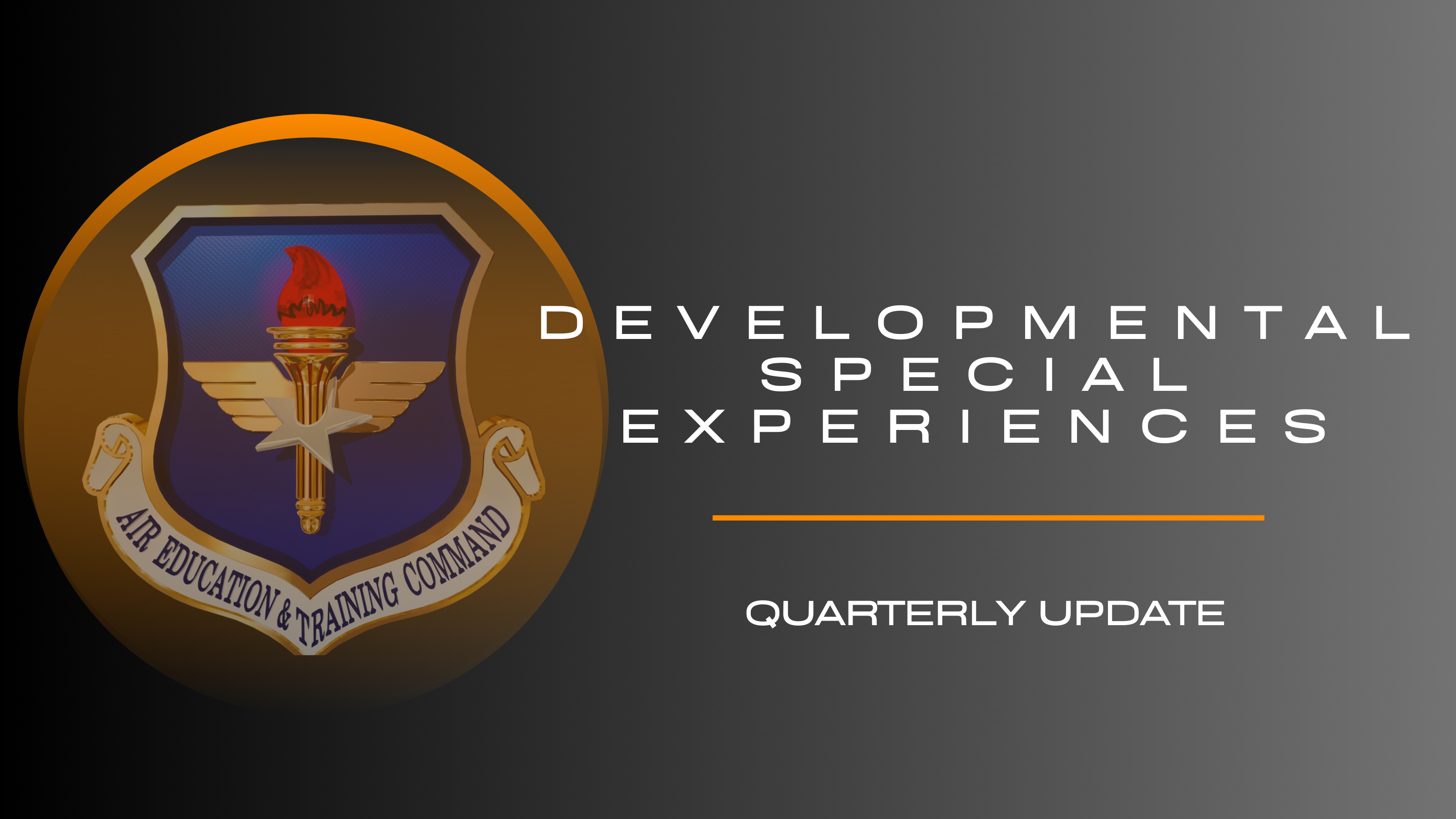 Developmental Special Experiences National Training Institute