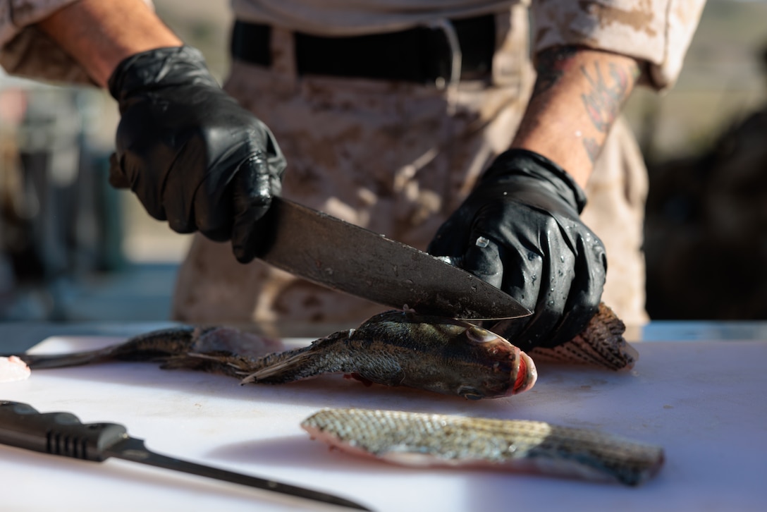 U.S. Marine Corps Sgt. Joshua Huertas, a food service specialist with 5th Marine Regiment, 1st Marine Division, prepares fish for force sustainment operations during Exercise Steel Knight 23.2 at Marine Corps Base Camp Pendleton, California, Dec. 6, 2023. Steel Knight maintains and sharpens I Marine Expeditionary Force as America’s expeditionary force in readiness – organized, trained and equipped to respond to any crisis, anytime, anywhere. This exercise will certify 5th Marines and Combat Logistics Battalion 5, Combat Logistics Regiment 1, 1st Marine Logistics Group, to be forward-postured in Australia as Marine Rotational Force - Darwin, a six-month deployment during which Marines train with Australian allies and facilitate rapid response to crises and contingencies. Huertas is a native of San Antonio. (U.S. Marine Corps photo by Cpl. Earik Barton)