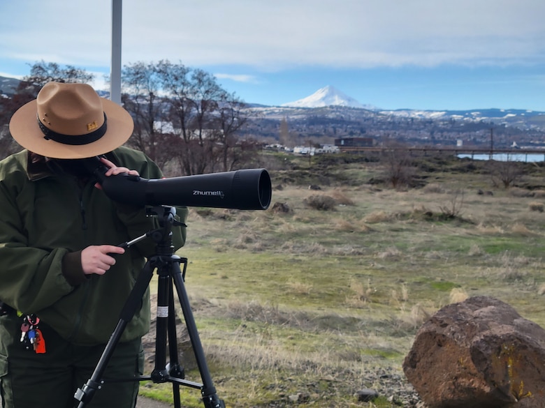 USACE Ranger looking through a spotting scope at Bald Eagles at The Dalles Dam.