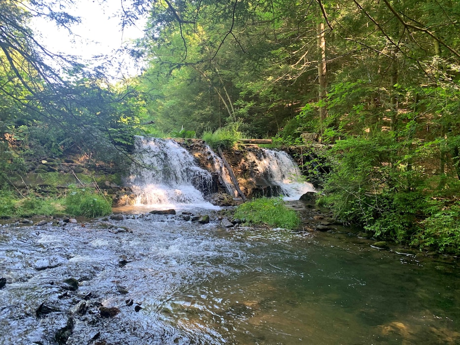 Waterfalls occur where water flows over a vertical drop or a series of steep drops along the course of a stream or river. These features can be found while the 16.6 miles of hiking trails developed by PA DCNR's Beltzville State Park.