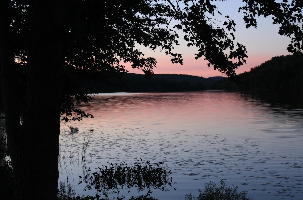 The pastel hues of a fall sunset highlight the silhouettes of the shoreline aquatic habitat at Prompton Dam's reservoir. Reeds, lilies, and pickerel weed provide vital resources for small and young fish to hide from bigger predators.