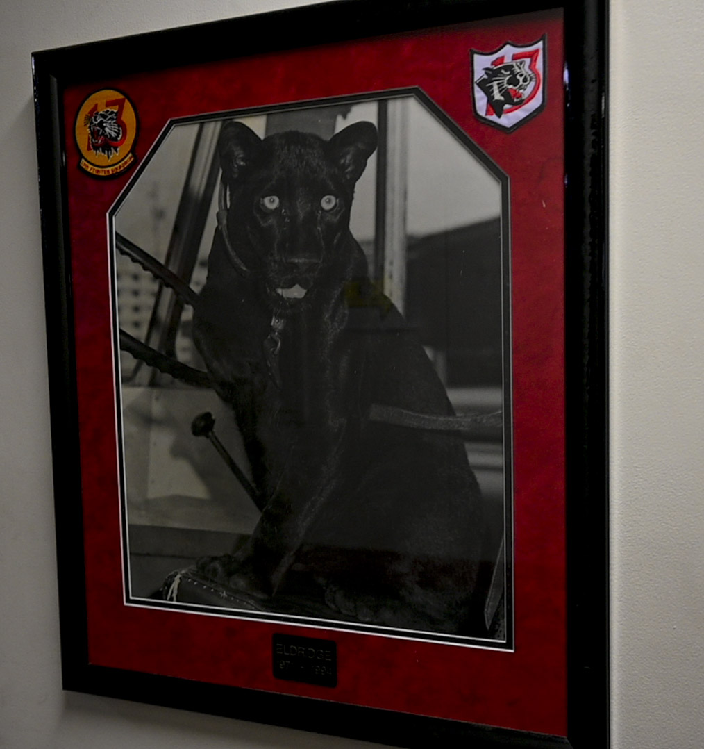 Defying Superstition: The 13th Fighter Squadron's Legacy of