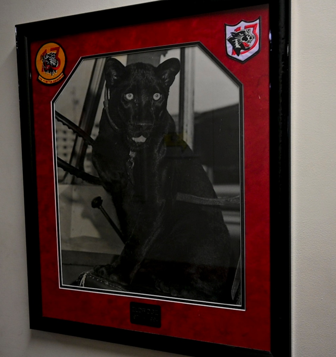 A poster of Eldrige is held at the 13th Fighter Squadron