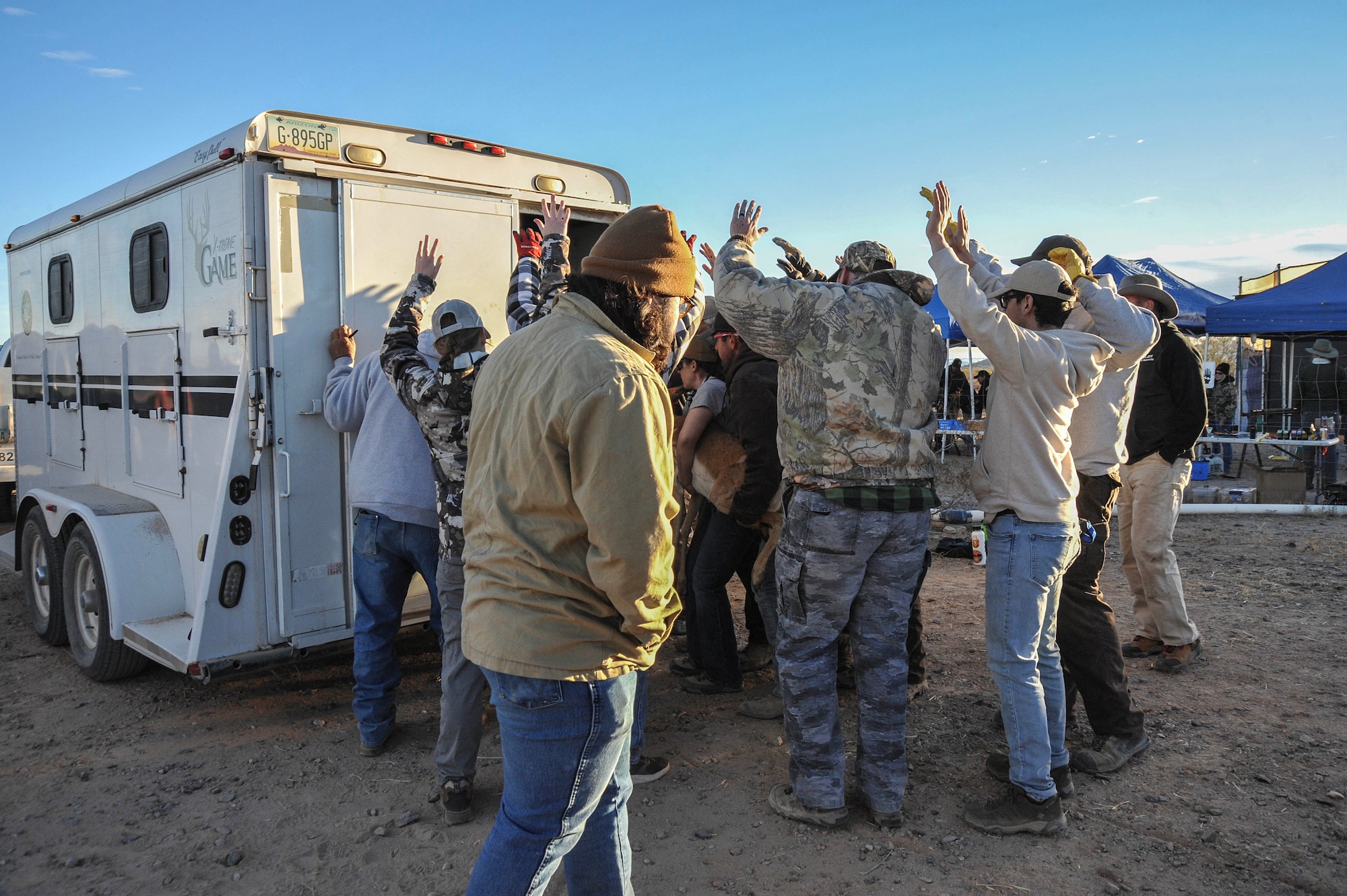 A Sonoran pronghorn captured from the Cabeza Prieta National Wildlife Refuge breeding pen is placed into an Arizona Game and Fish Department trailer to be transported to the Barry M. Goldwater Range East during the annual capture and release, Dec. 12, 2023.