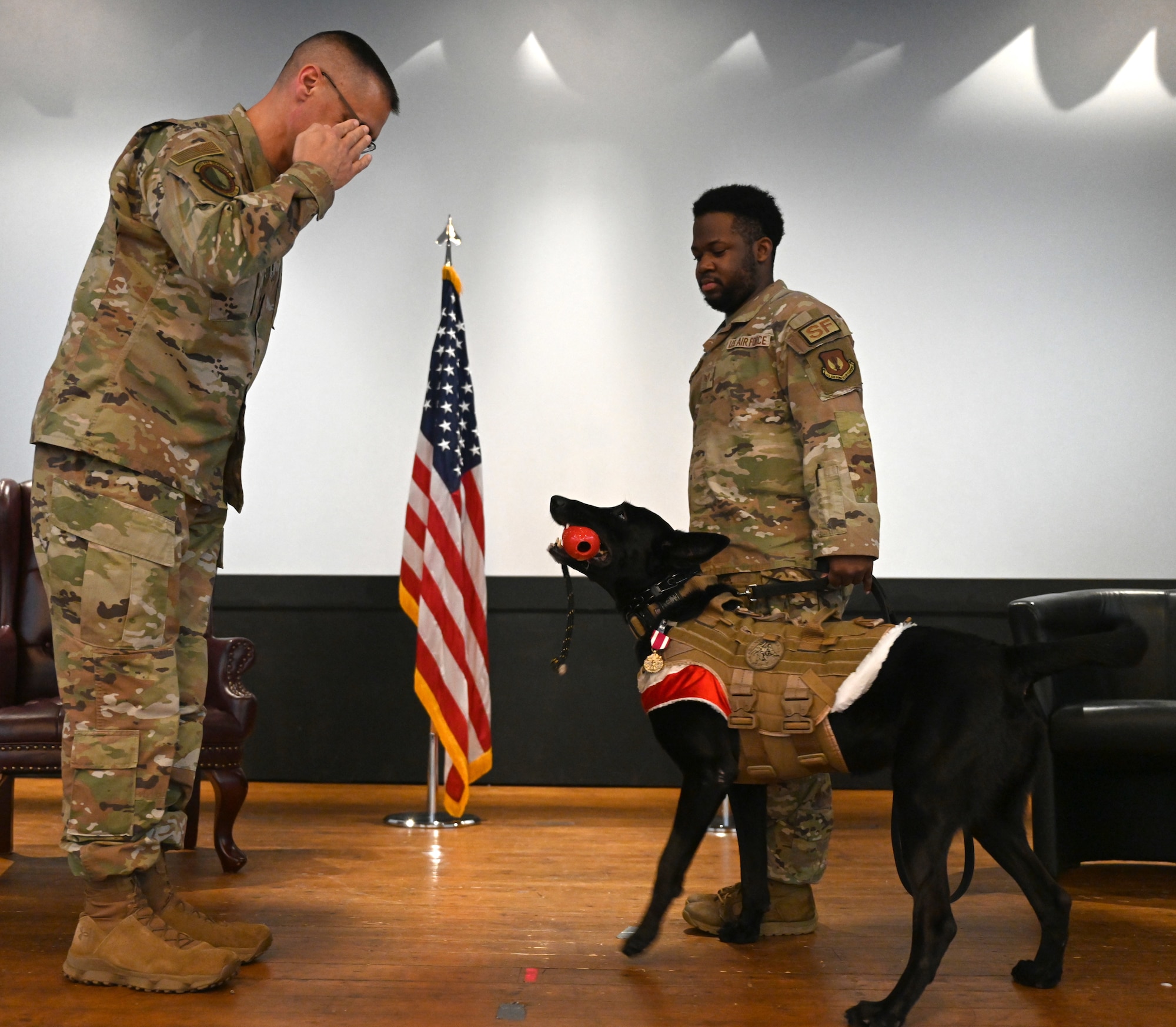 U.S. Air Force Lt. Col. Ben Washburn, left, 48th Security Forces Squadron commander, salutes Military Working Dog Cchuy after pinning on the K9’s Meritorious Service Medal at a retirement ceremony, held at Royal Air Force Lakenheath, England, Dec. 13, 2023. During his time at RAF Lakenheath, Cchuy amassed more than 5,900 in all-weather specialized explosive search, deterrence and intruder detection operations, to provide a safe and secure environment for the mission accomplishment of the 48th Fighter Wing. The newly retired MWD has been adopted by his final handler, Staff Sgt. Ben Kaupp (not pictured) and his family. (U.S. Air Force photo by Karen Abeyasekere)