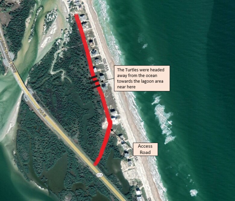 This image depicts where the turtle hatchlings were located and how far away from the ocean they were found.