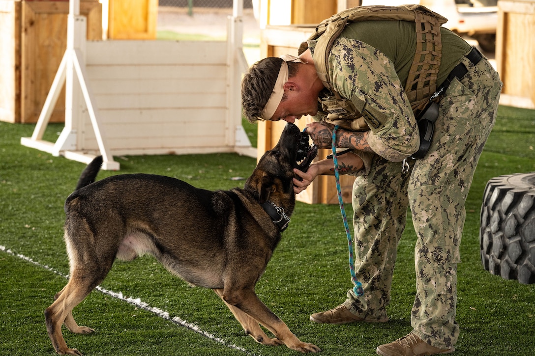 A Navy dog handler leans forward for a nose-to-nose embrace with a military working dog.
