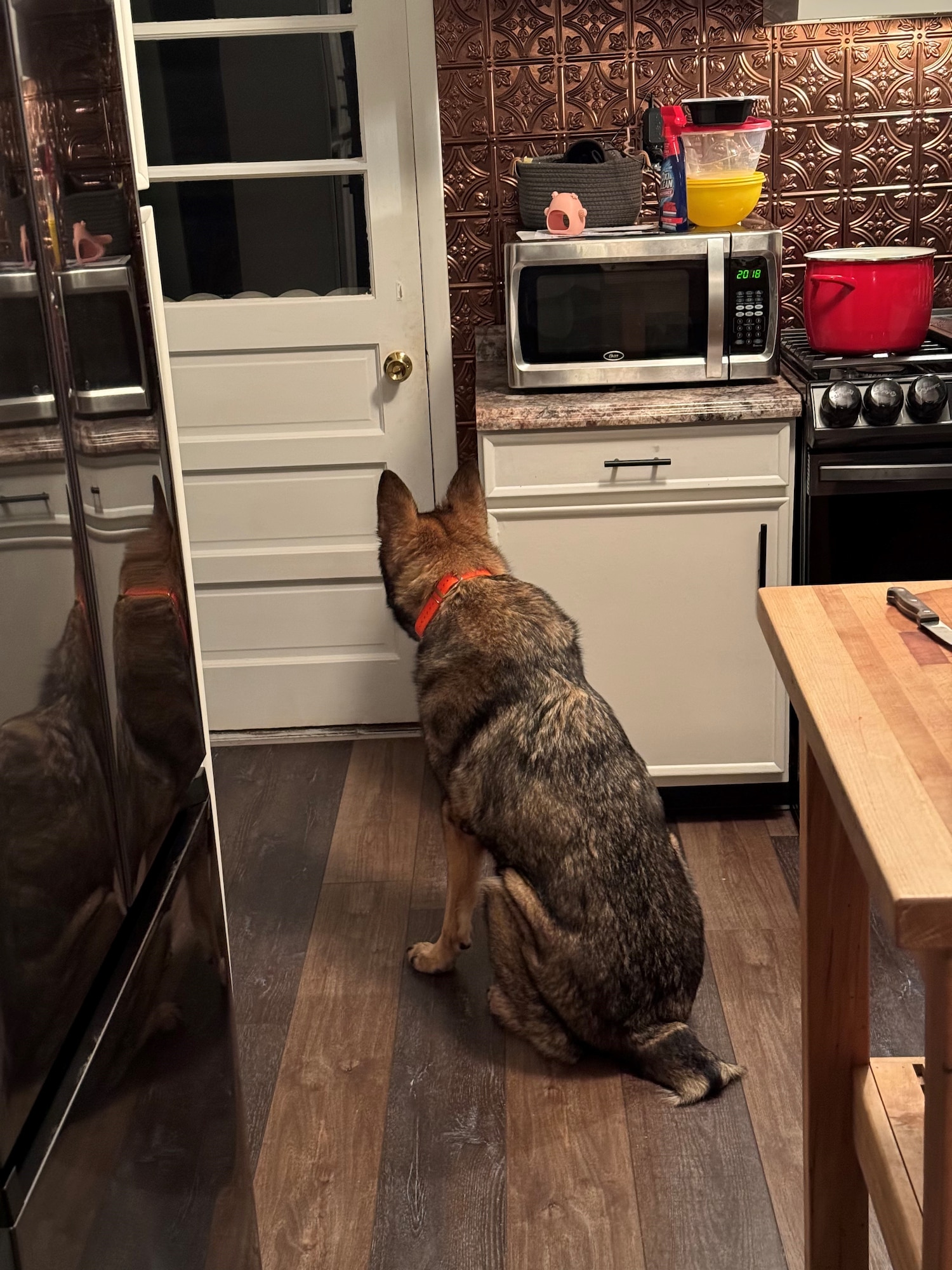 Dog waiting by door
