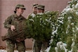 Soldiers with the Pennsylvania Army National Guard’s 28th Expeditionary Combat Aviation Brigade select a Christmas tree from a batch delivered to Fort Indiantown Gap for distribution to Pennsylvania National Guard service members as part of PA Trees 4 PA Heroes. (Pennsylvania National Guard photo by Wayne V. Hall)