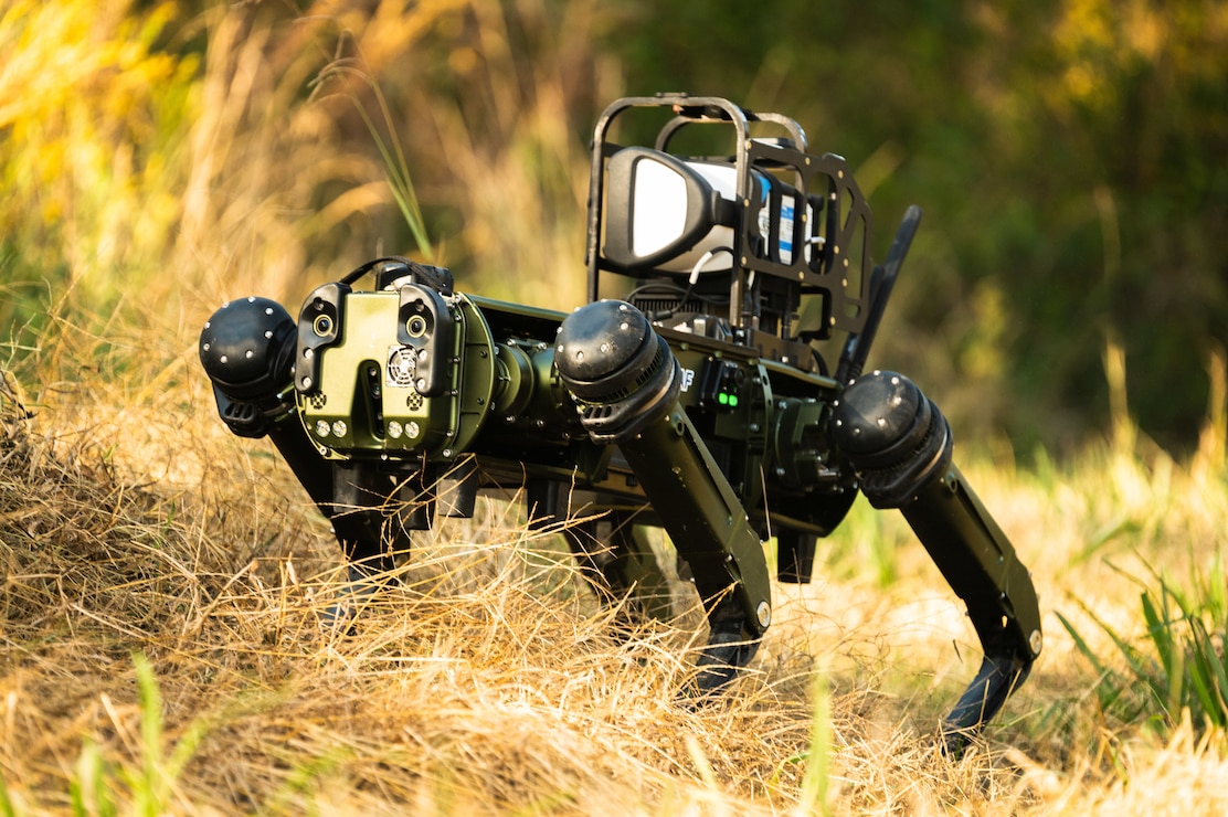 Robot Dog standing waiting for next command