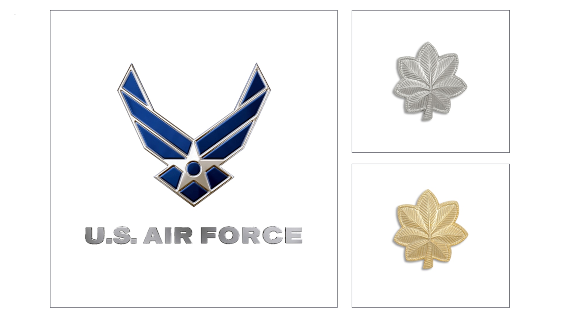 Air Force logo with Lt Col and Major Rank