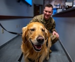 U.S. Air Force 1st Lt. Nathaniel Bochenek, 3rd Airlift Squadron pilot, pets Ranger Matthews, USO of Delaware emotional support dog, during Operation Cookie Drop at Dover Air Force Base, Delaware, Dec. 19, 2023. The Dover AFB Chapel and USO of Delaware delivered more than 3,000 cookies provided by Team Dover members to Airmen across the base. (U.S. Air Force photo by Airman 1st Class Amanda Jett)