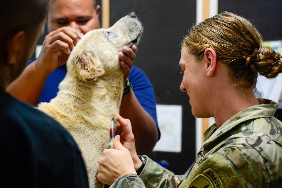 A soldier uses a syringe to draw blood from a dog as another person holds the dog's head up. The dog's eyes are closed.