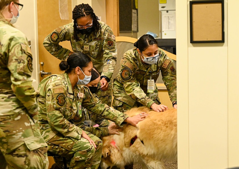 Appa, a service dog, greets 633d MDG medical patrons and service members, boosting morale