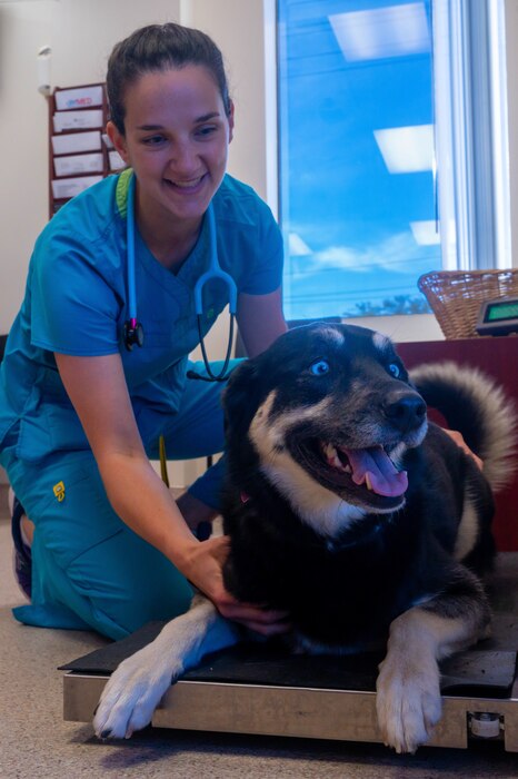 Dr. Rachel Hallman, Luke Air Force Base Veterinary Treatment Facility veterinary medical officer, uses a pet scale, Jan. 13, 2023, at Luke AFB, Arizona.