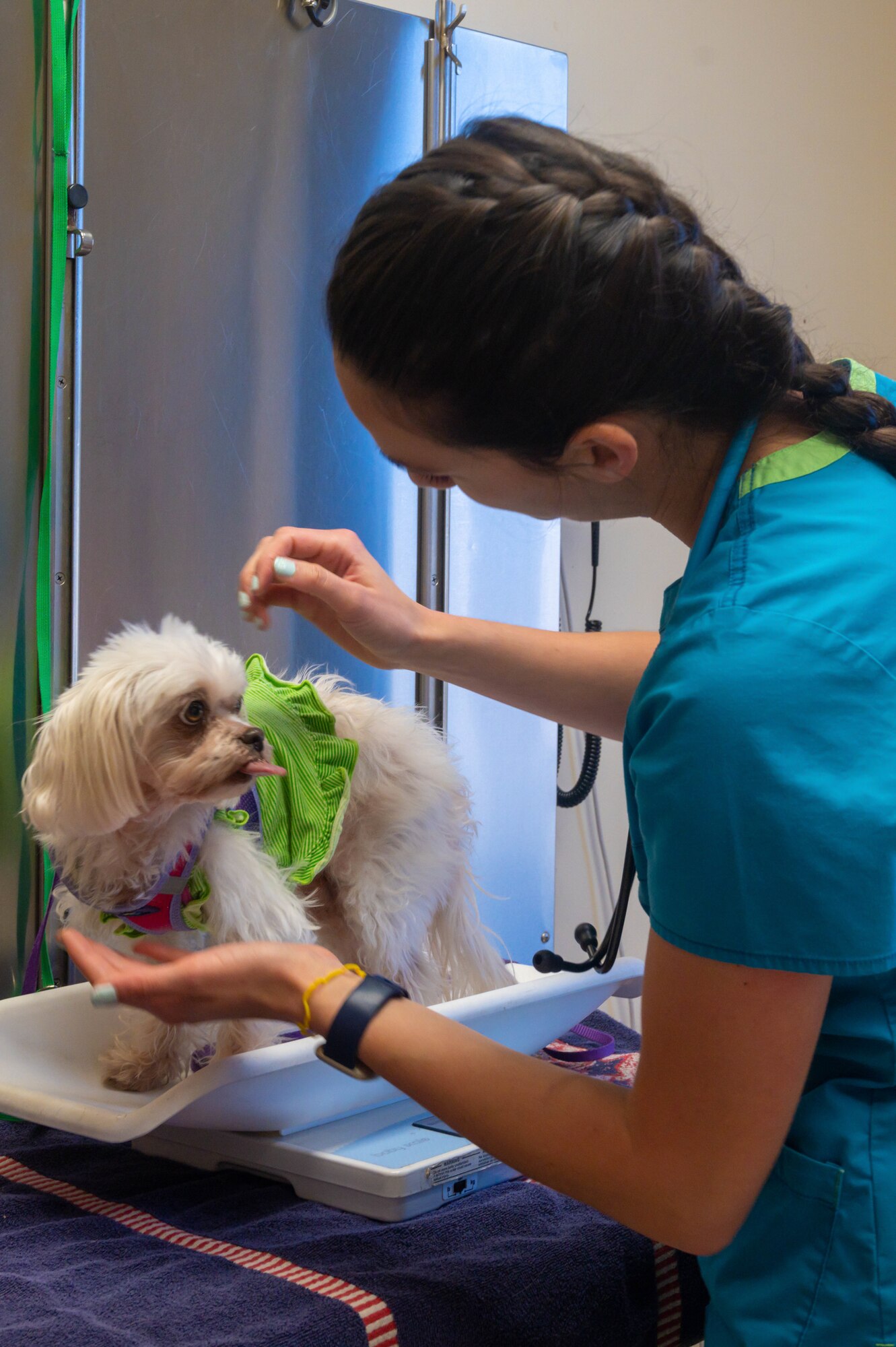 Dr. Rachel Hallman, Luke Air Force Base Veterinary Treatment Facility veterinary medical officer, sooths a pet before administering treatment, Jan. 13, 2023, at Luke AFB, Arizona.