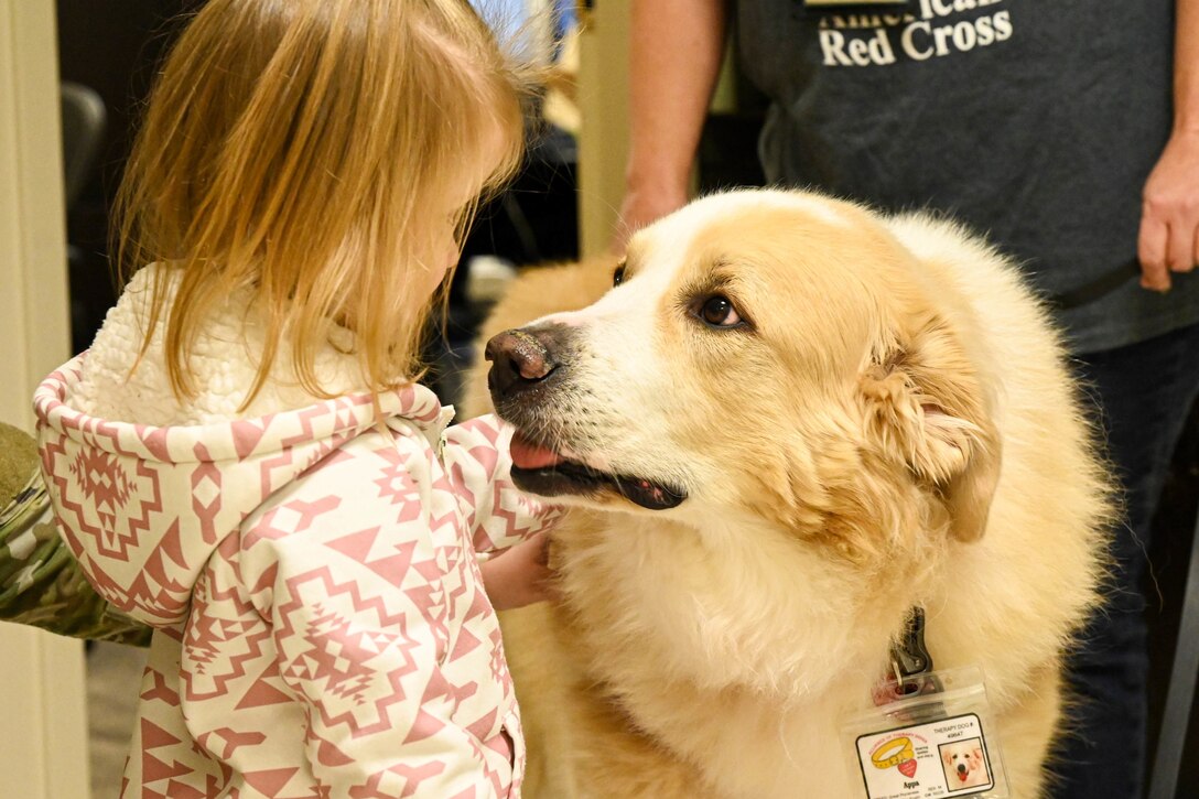 Close-up of a girl petting a service dog.