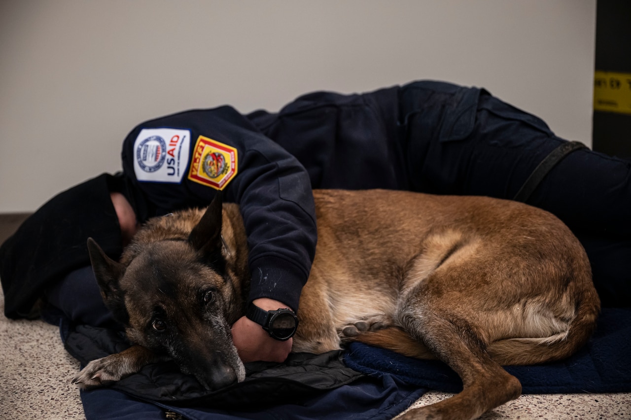 A civilian worker lies on the floor with a German Shepherd-type dog.
