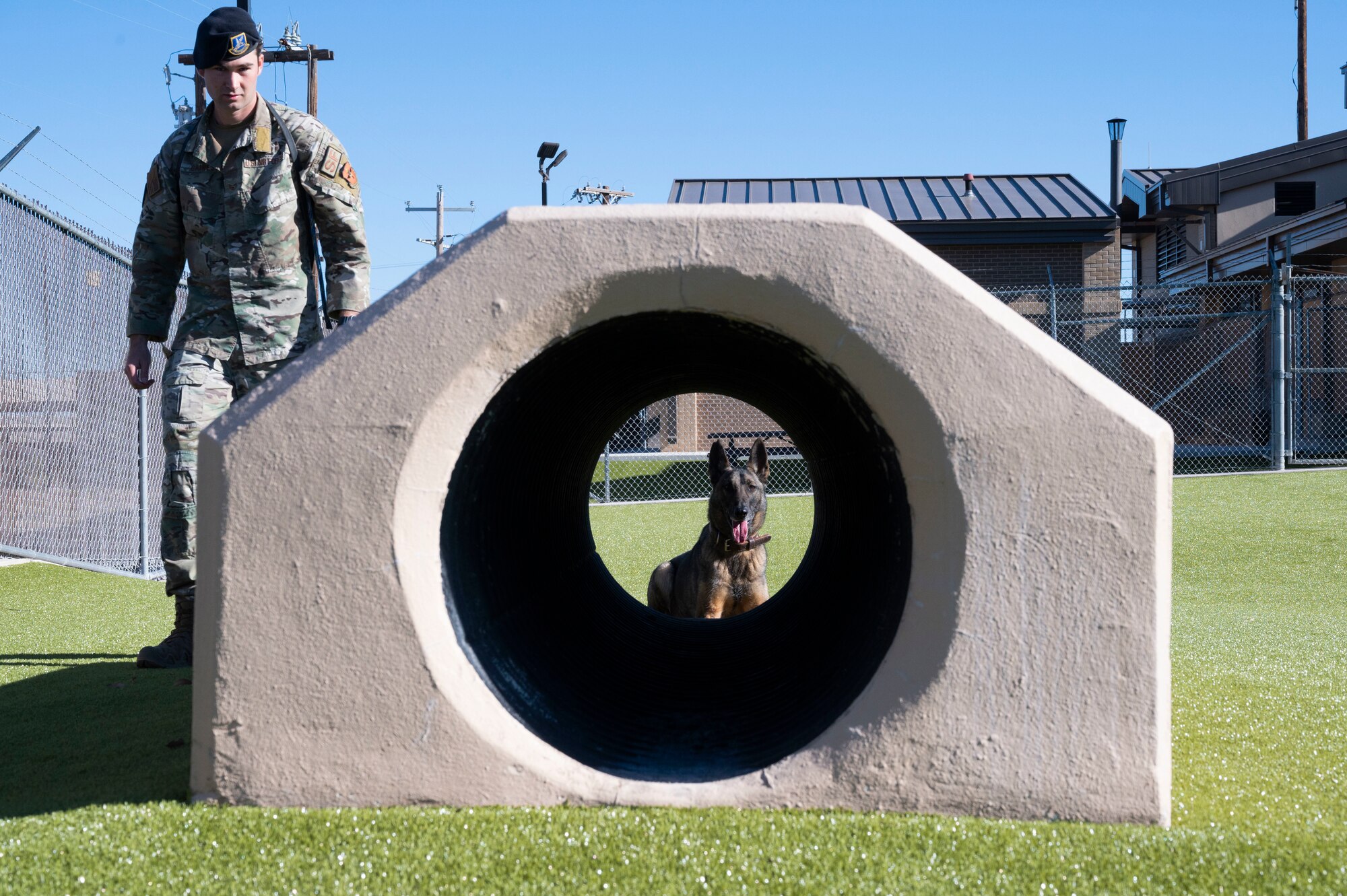 U.S. Air Force Staff Sgt. Charles Gaines, 47th Security Forces Squadron military working dog trainer, prepares military working dog Toku, to run through a tunnel at the 47th Security Forces Squadron military working dog training area at Laughlin Air Force Base, Texas, on Jan. 13, 2023. Military working dogs provide a variety of services, including the detection of explosives and drug searches, tracking of personnel and suspects, patrol of restricted areas, and protection of military installations. (U.S. Air Force photo by Airman 1st Class Kailee Reynolds)