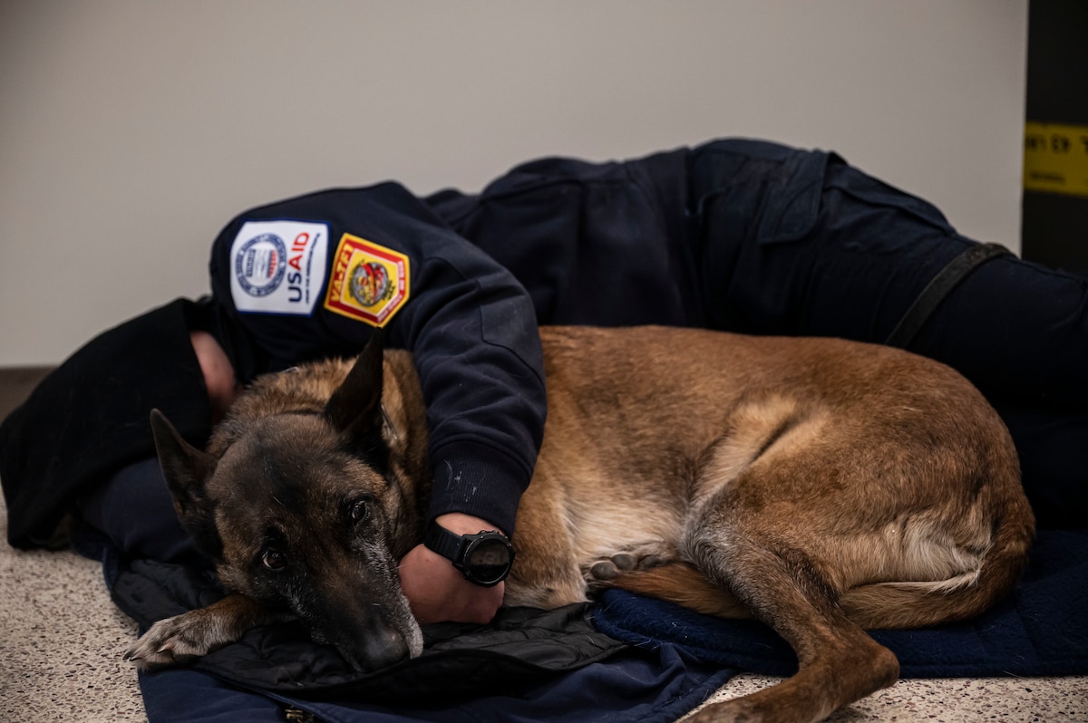 An Urban Search and Rescue member from Fairfax County, Virginia, rests with her canine prior to boarding a C-17 Globemaster III on Dover Air Force Base, Delaware, Feb. 7, 2023. The U.S. Agency for International Development (USAID) is mobilizing emergency humanitarian assistance to respond to the devastating impacts in Türkiye following the worst earthquake to hit the region in almost a century. (U.S. Air Force photo by Staff Sgt. Marco A. Gomez)