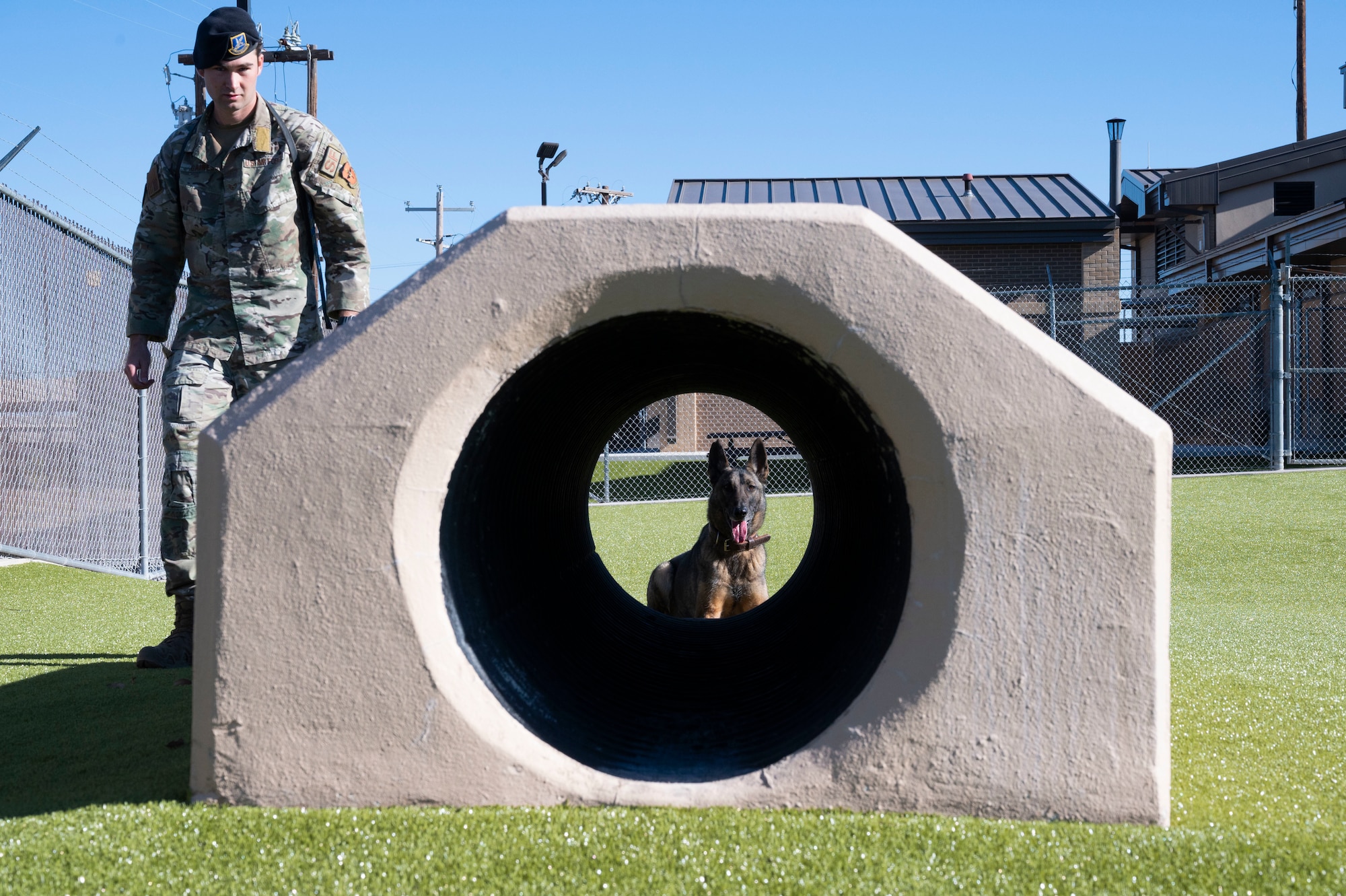 Working with our Air Force’s Four-Legged Defenders > Air Education and Training Command > Article Display
