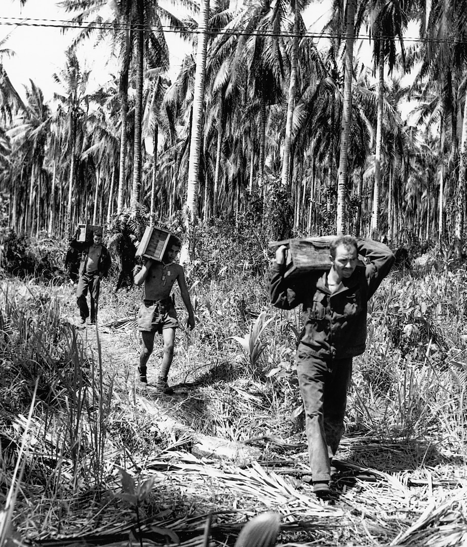 80 years ago, on 22 January 1943, American and Australian forces ended their first major campaign of WWII in the Pacific.  It was also their first success after suffering a string of losses throughout the Pacific, as the Japanese quickly occupied Allied strongholds such as Hong Kong, Singapore, the Philippines, and the Dutch East Indies.