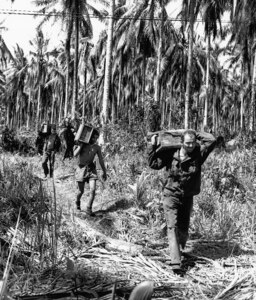 80 years ago, on 22 January 1943, American and Australian forces ended their first major campaign of WWII in the Pacific.  It was also their first success after suffering a string of losses throughout the Pacific, as the Japanese quickly occupied Allied strongholds such as Hong Kong, Singapore, the Philippines, and the Dutch East Indies.