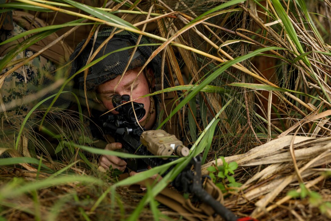 A partially hidden Marine aims his weapon from a grassy area.