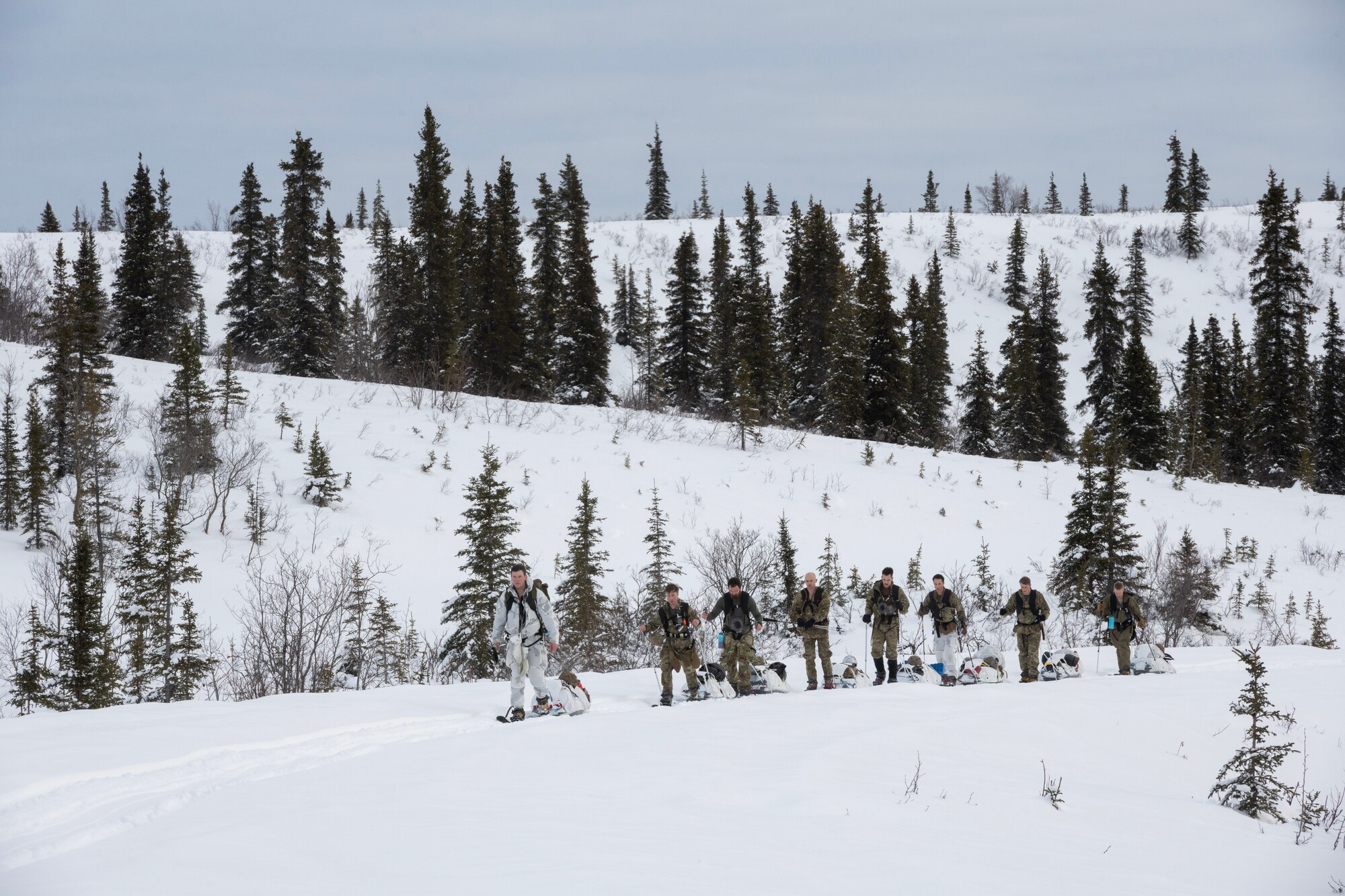 3rd ASOS conducted Operation Agipen 2. Agipen 2 was an unsupported, sustained cold-weather operation designed to validate equipment and previous arctic training in austere conditions. During the multi-day training exercise the 3rd ASOS special warfare Airmen burned up to 5000 calories a day while conducting a long-distance, overland ski movement that included pulling individual pulk sleds by incorporating cross country skiing and skijoring.