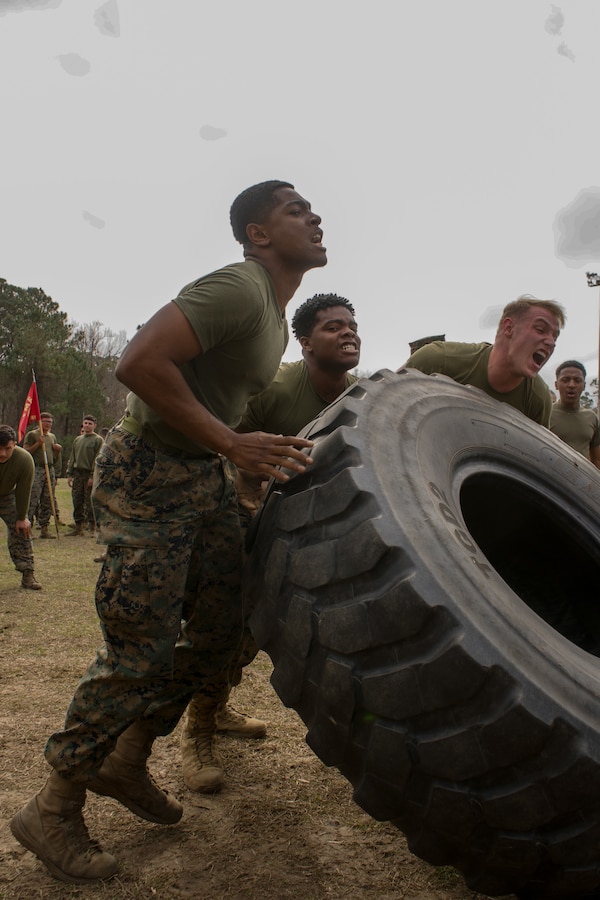 U.S. Marines with 10th Marine Regiment, 2d Marine Division compete in a tire flip competition on Camp Lejeune, North Carolina, Feb 9, 2023. The Kings Game is an annual event where Marines from 10th Marines compete in various competitions to strengthen the unit's esprit de corps. (U.S. Marine Corps photo by Lance Cpl. Max Arellano)