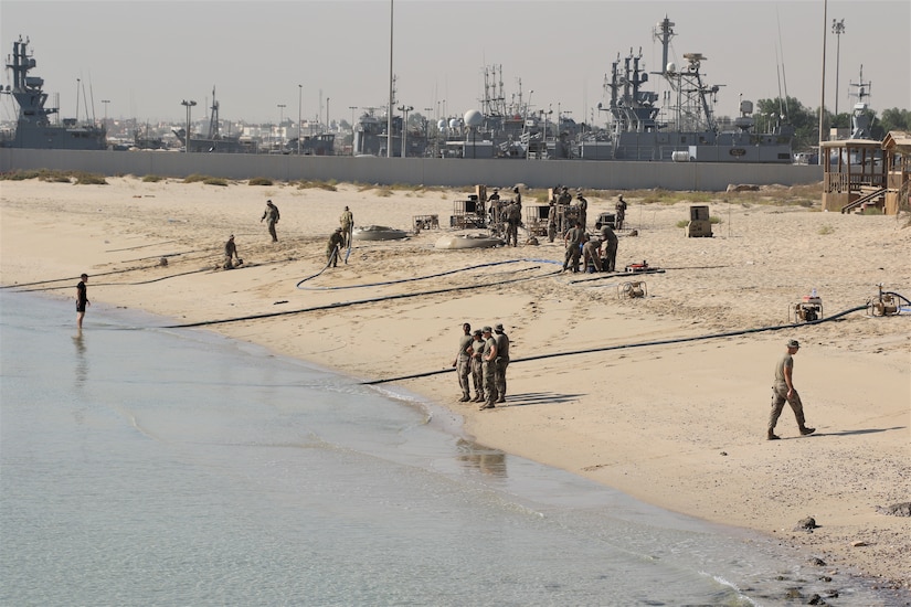 Soldiers stand on a beach with large naval vessels.