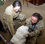 Mr. William Apodaca, 16th Air Force chief of staff, pets Bindi on her visit to the command suite, Jan. 25. Bindi’s training allows her access to the 16th Air Force building where she goes room- to- room bringing stress relief, enjoyment, engagement, and dialogue to anyone who needs it.