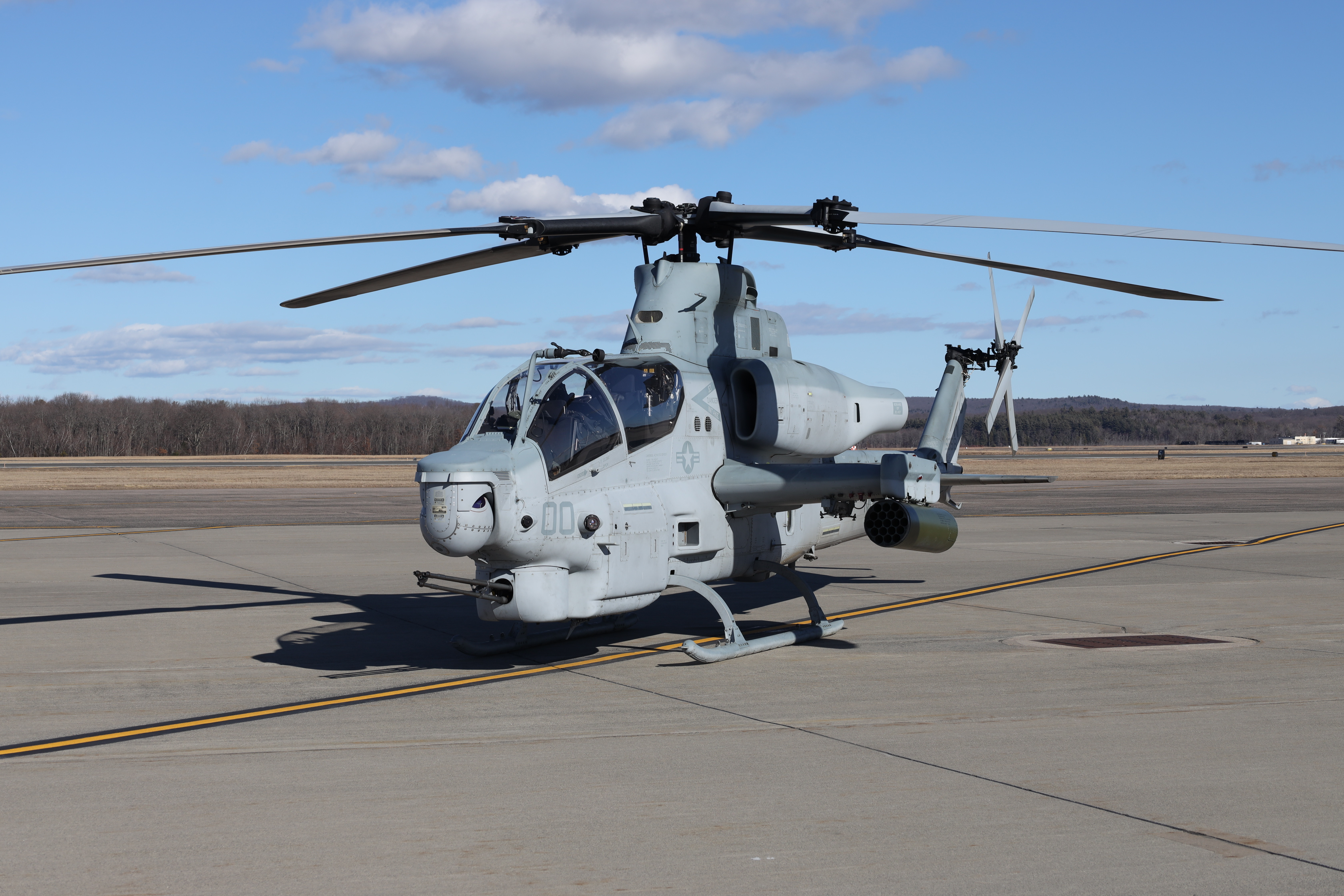 日本製 Marine birds Base Reserve Air Westover > Westover at roost その他