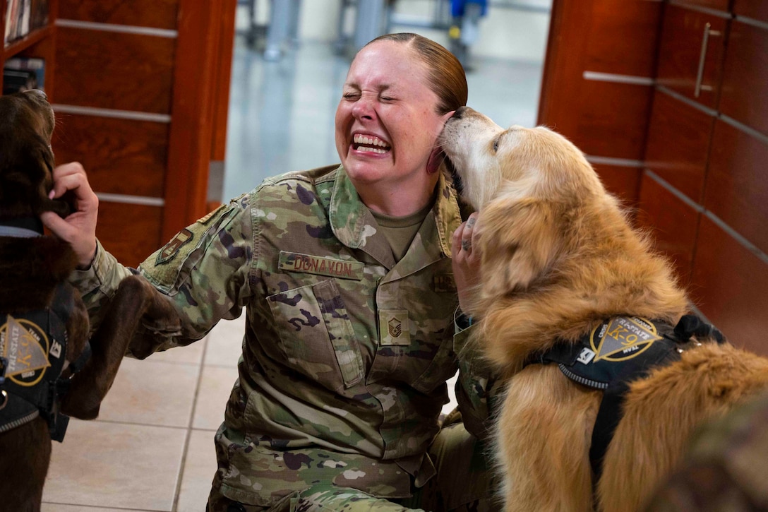 A dog licks an airman’s face.