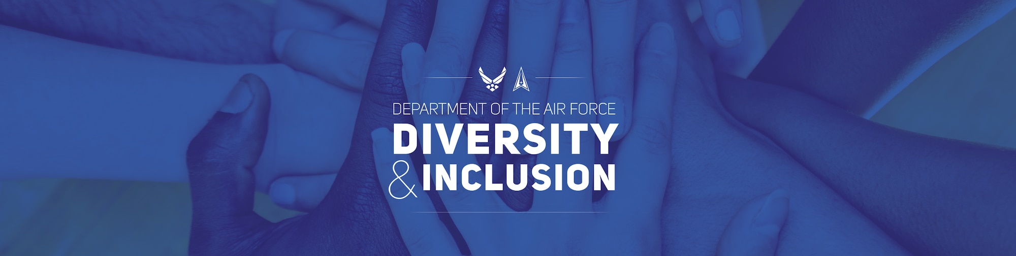 Department of the Air Force Diversity and Inclusion Graphic